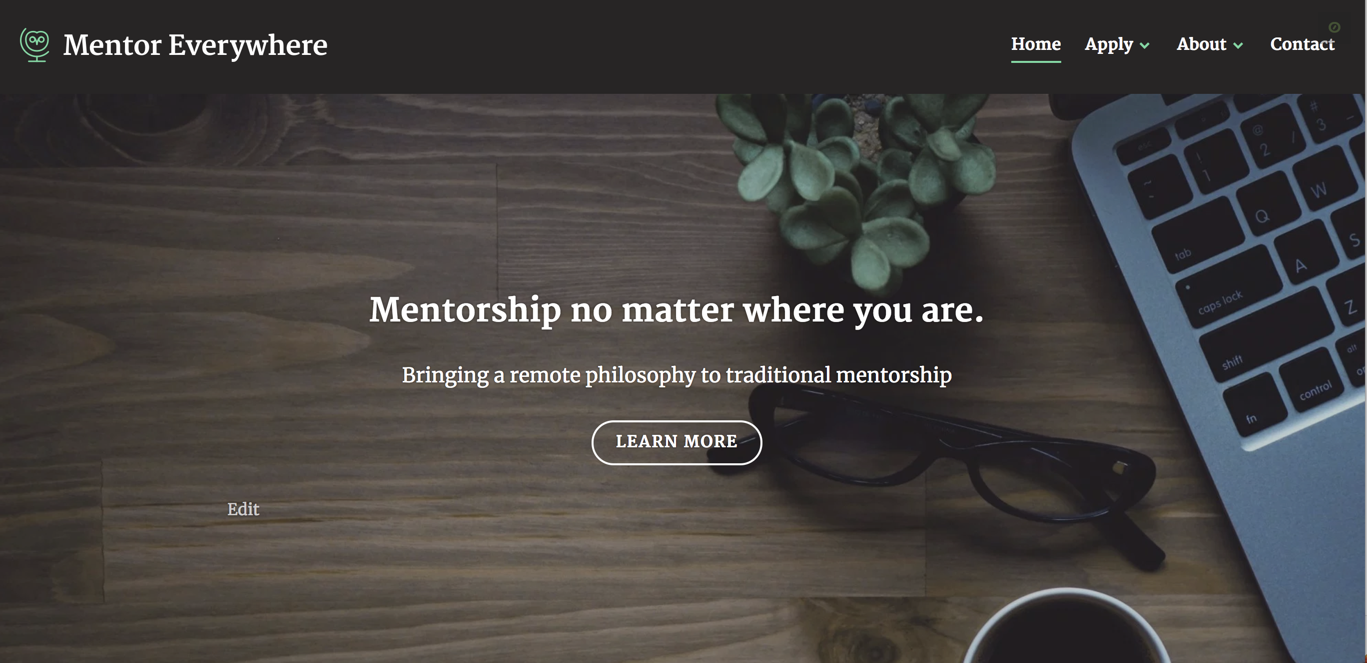 Lessons Learned from Founding a Remote Mentorship Program: Mentor
Everywhere